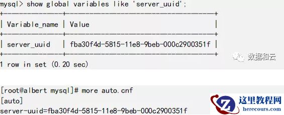MySQL GTID与MariaDB GTID的不同之处