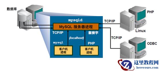 MySQL入门--体系结构