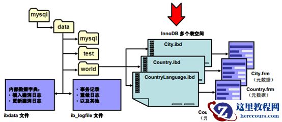 MySQL入门--存储引擎