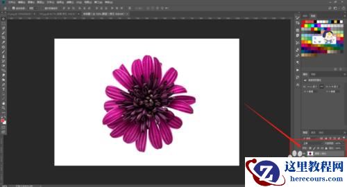 如何学好PS？PS入门基础教程之简单背景抠图讲解