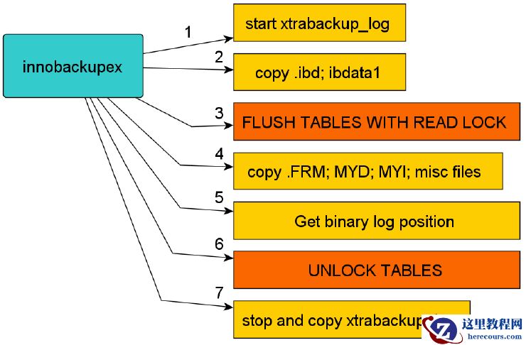 mysql innobackupex备份原理总结