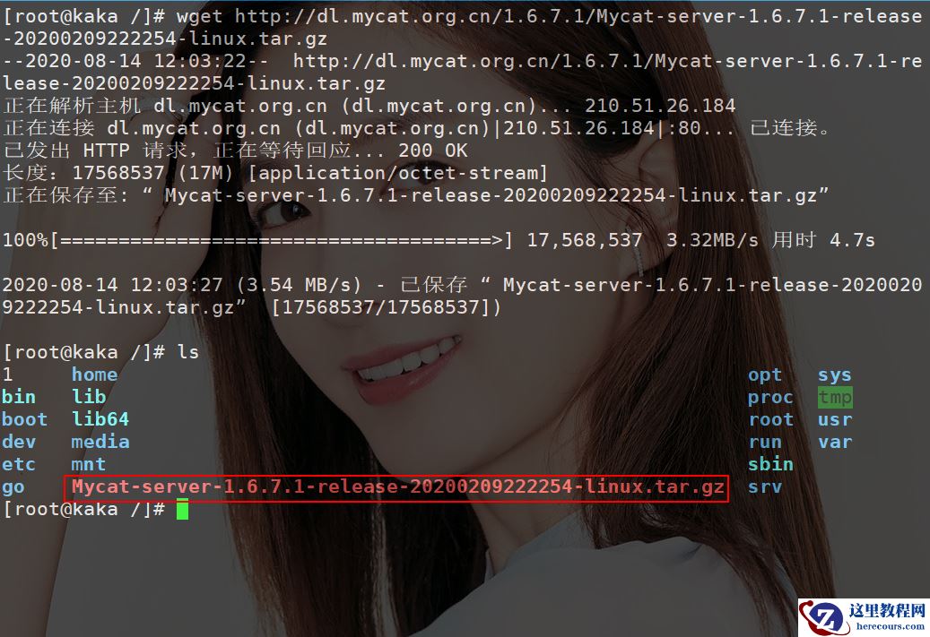 你们要的MyCat实现MySQL分库分表来了