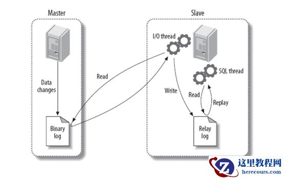 MySQL8.0轻松搞定GTID主从复制