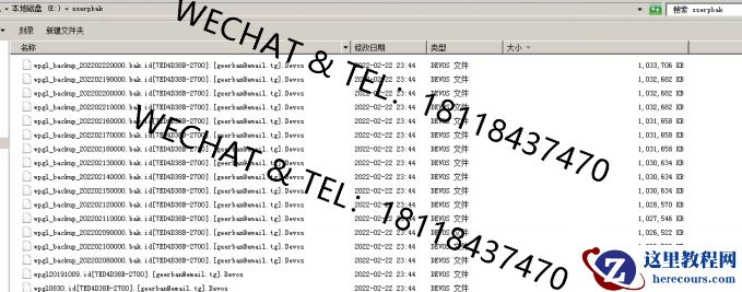 DEVOS勒索病毒，20G数据库2小时完成解密