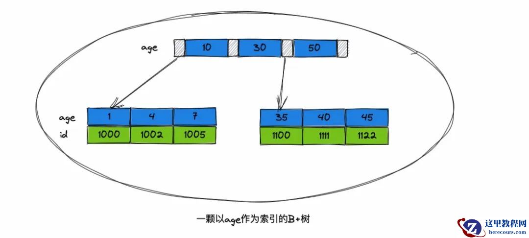 MySQL遵循最左前缀匹配原则！面试官：回去等通知吧