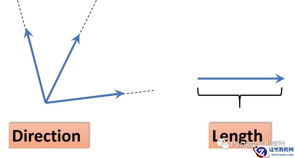 向量数据库与pgvector