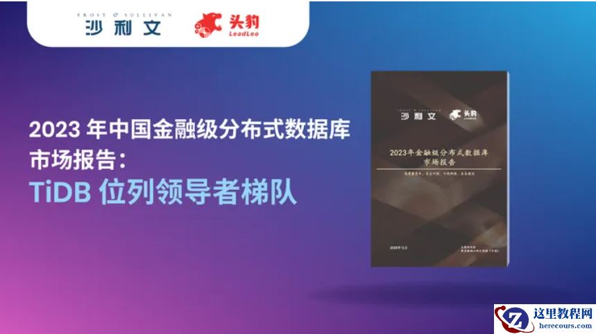 2023 年中国金融级分布式数据库市场报告：TiDB 位列领导者梯队