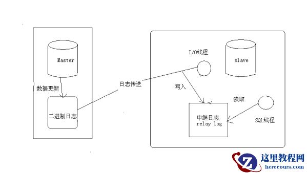 MySQL的主从复制