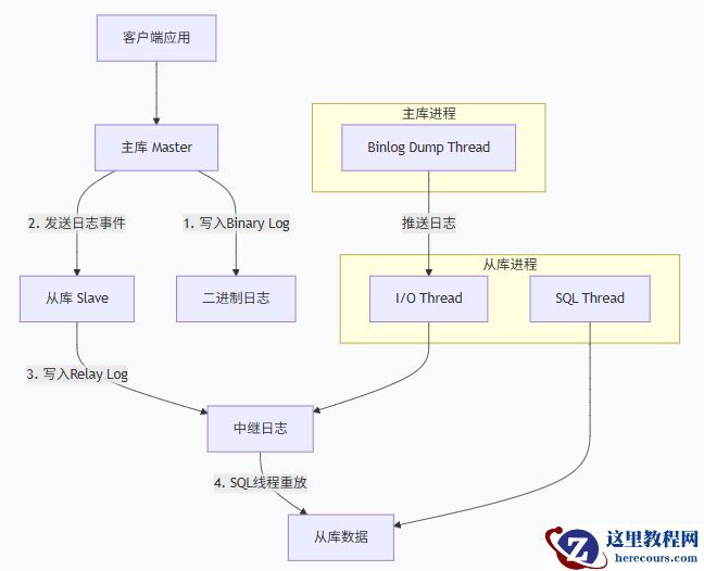 MYSQL8.4 主从复制
