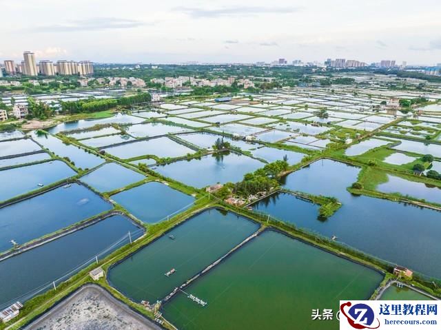 在农村 偏远鱼塘 水产养殖区安装监控摄像头，选哪款 应该怎么装？