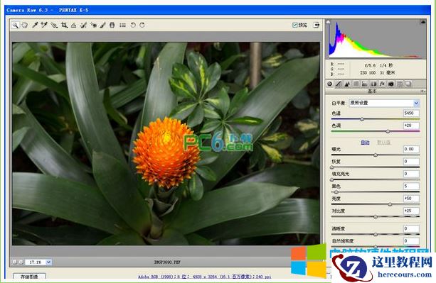 .CR2是什么文件?.CR2如何打开?