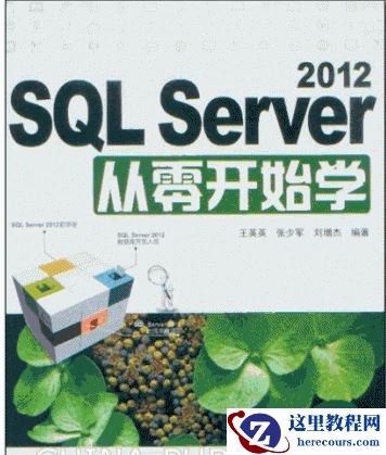 SQL Server 2012从零开始学 (王英英,张少军) 高清PDF扫描版[188M]下载
