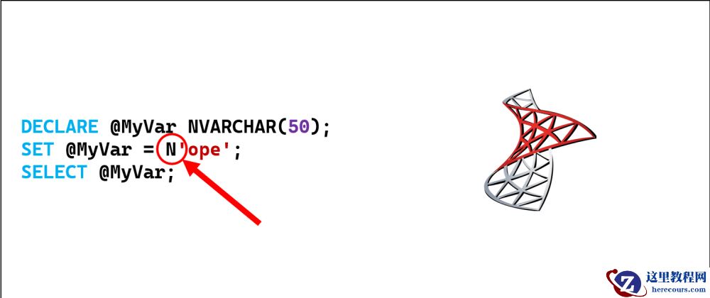 What is the N prefix in MSSQL all about?