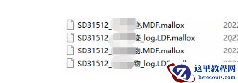 企业计算机服务器中了mallox勒索病毒怎么解决，勒索病毒解密文件恢复