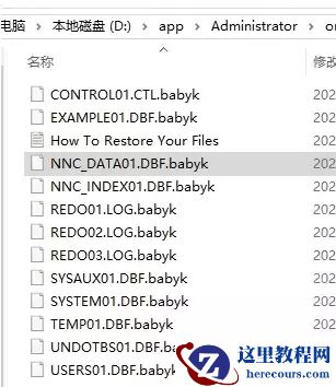 企业服务器中了babyk勒索病毒怎么办，babyk勒索病毒解密数据集恢复