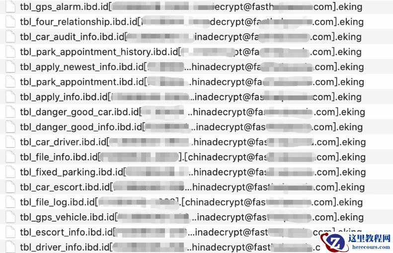 计算机服务器中了eking勒索病毒怎么办，勒索病毒解密，文件数据恢复