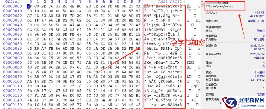 企业计算机服务器中了halo勒索病毒如何解密，halo勒索病毒恢复流程