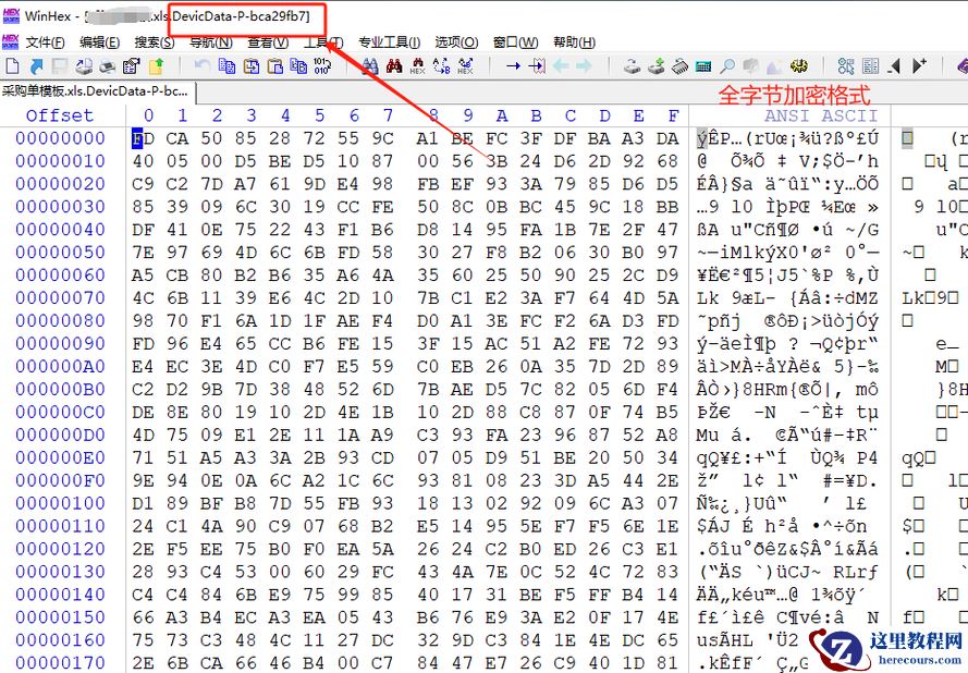 计算机服务器中了devicdata勒索病毒怎么处理，devicdata勒索病毒解密工具流程