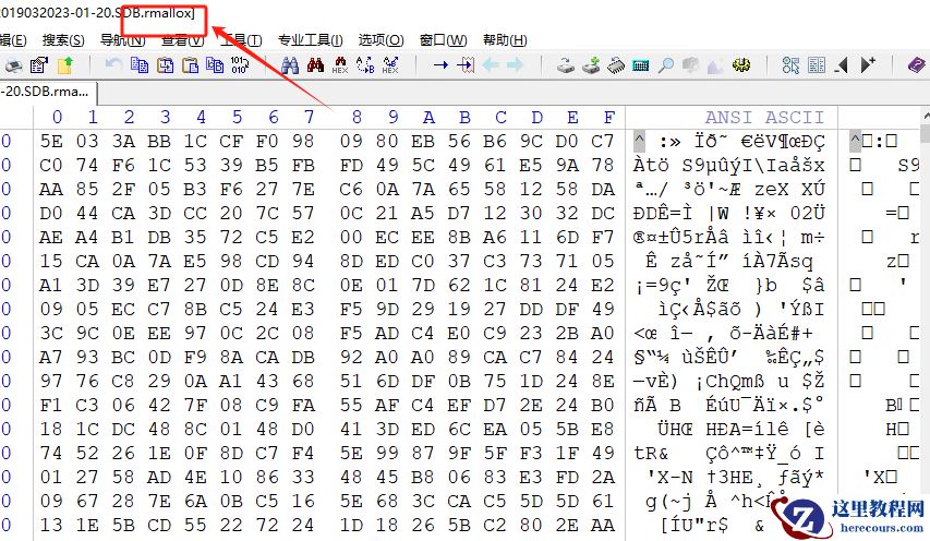计算机服务器中了rmallox勒索病毒怎么办，rmallox勒索病毒解密流程步骤