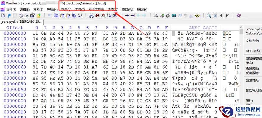 计算机服务器中了faust勒索病毒怎么办？Faust勒索病毒解密工具流程步骤