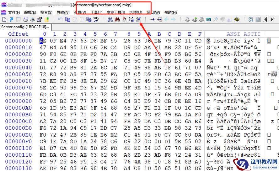 计算机服务器中了mkp勒索病毒怎么办？Mkp勒索病毒解密流程数据恢复