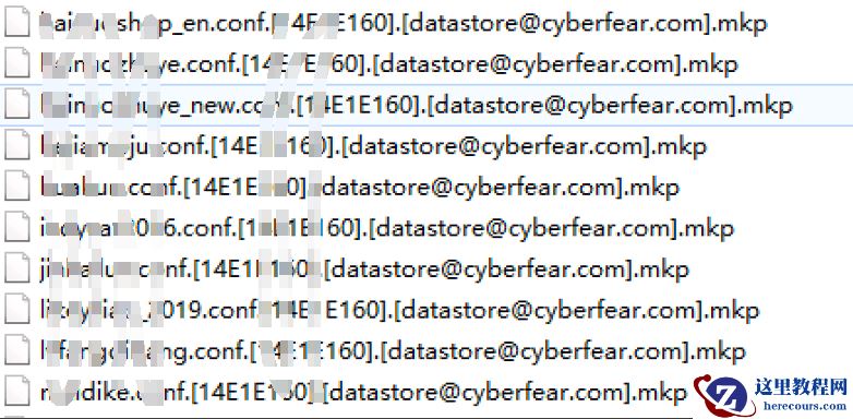 企业计算机服务器中了mkp勒索病毒怎么办，mkp勒索病毒解密流程步骤