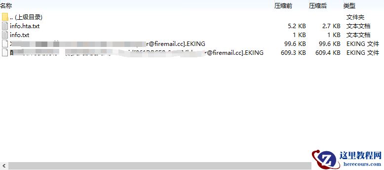 企业计算机服务器中了eking勒索病毒怎么办，eking勒索病毒解密工具流程