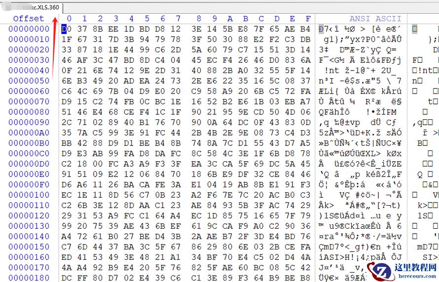 企业计算机服务器中了360后缀勒索病毒解密恢复工具流程，数据恢复
