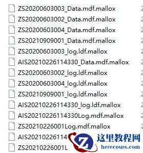 计算机服务器中了mallox勒索病毒怎么解密，mallox勒索病毒解密恢复工具