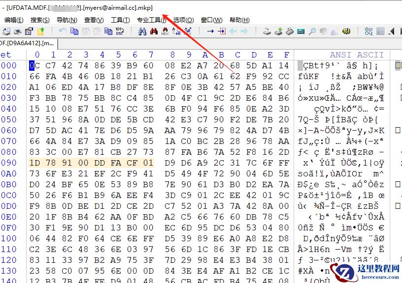 计算机服务器中了mkp勒索病毒怎么解决，mkp勒索病毒专杀工具流程