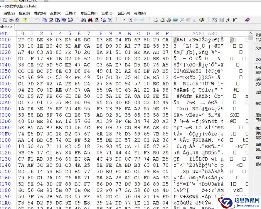 计算机服务器中了halo勒索病毒怎么解密，halo勒索病毒解密恢复流程