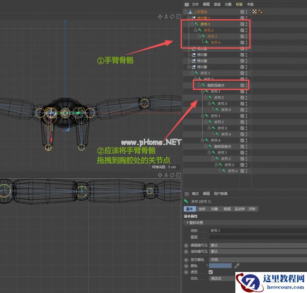 错误的骨骼绑定