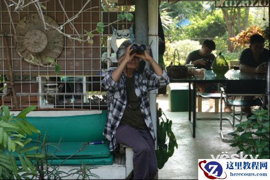 全能打鸟神器 索尼黑卡RX10M4泰国之旅(下)