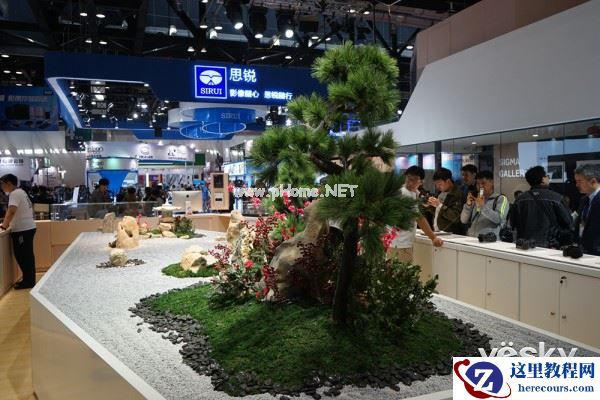 P&E2015：敢想敢做无所畏惧 适马展区一览