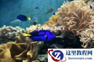 极致画质体验 腾龙A007镜头垦丁&花莲游记