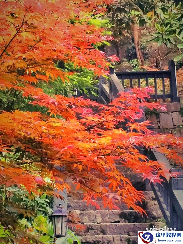 曼富图手机配件和pixi单肩邮差包体验