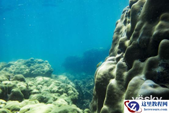 一镜的魅力 索尼黑卡RX10M4自然之旅(上)