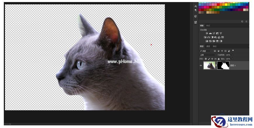 Photoshop创意的合成猫咪头像的猫头鹰