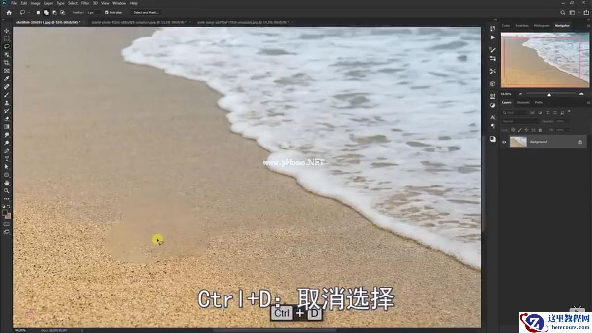 Photoshop合成海边海龟和被掀起的海浪场景