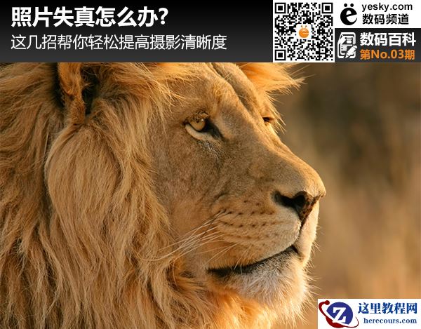 照片失真怎么办?这几招帮你提高摄影清晰度