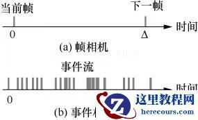 自动驾驶「感知」的革新?从人脑和蛙眼得到的启示