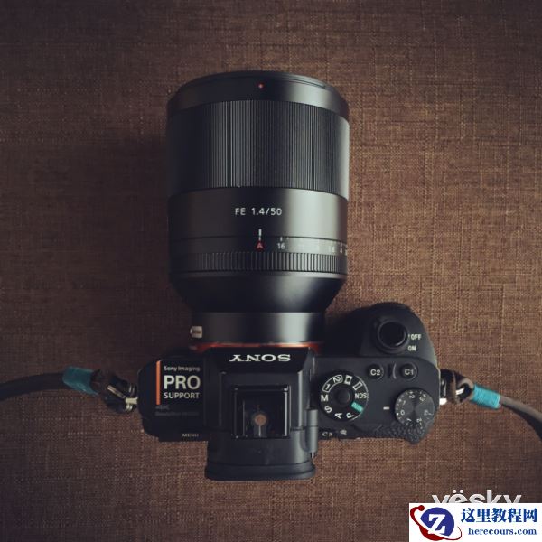 与欧阳智斌一起见证婚礼的幸福时刻