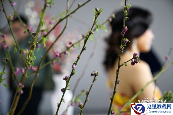 不得不说的高性能 索尼新品24-70mm镜头体验