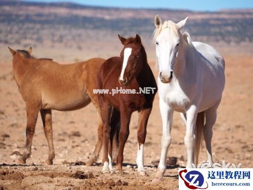 奥林巴斯E-M5II官方样张正式亮相