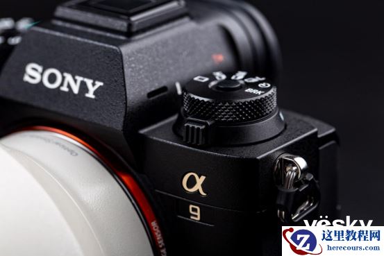 全面支持专业工作流 索尼Alpha 9 II评测