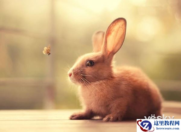 初学者必看! 如何在短时间内成为摄影达人