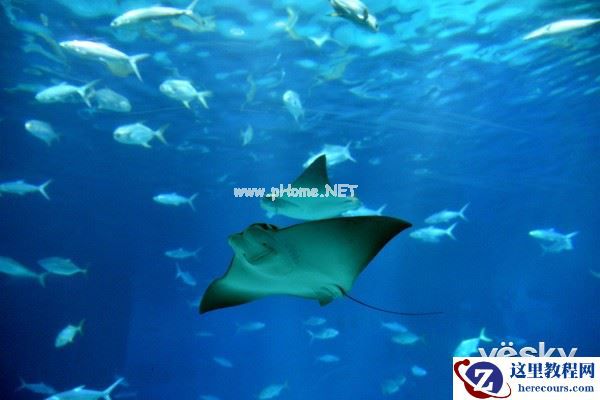 极致画质体验 腾龙A007镜头垦丁&花莲游记