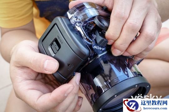索尼黑卡™RX100V 体验水下摄影的魅力(下)