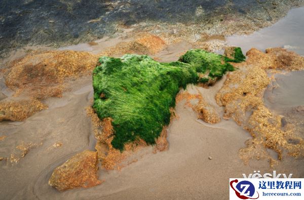 雨中漫步索尼G大师镜头SEL2470GM邂逅平潭岛