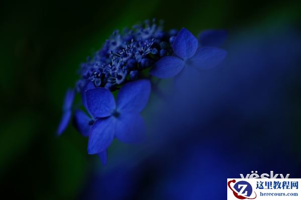 富士XF80mmF2.8 LM OIS WR Macro中长焦微距镜上市开售